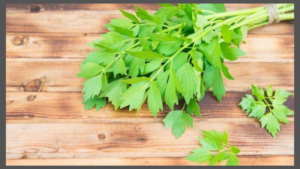 Seledri, Makanan Sehat, Manfaat Sehat, Kesehatan, Minuman Sehat, Resep Seledri, Detoksifikasi, Pencernaan Sehat, Jus Seledri, Nutrisi Alami