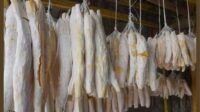 Peuyeum Bandung, makanan tradisional, kuliner Bandung, singkong, fermentasi