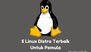 Distro Linux, Pemula, Ubuntu, Linux Mint, Zorin Os, Elementary OS, Arch Linux, Distro Linux Untuk Pemula,